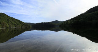 Der Obersee, Teil der Rurtalsperre