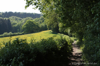 Der Philippionsweg bei Aachen-Hanbruch