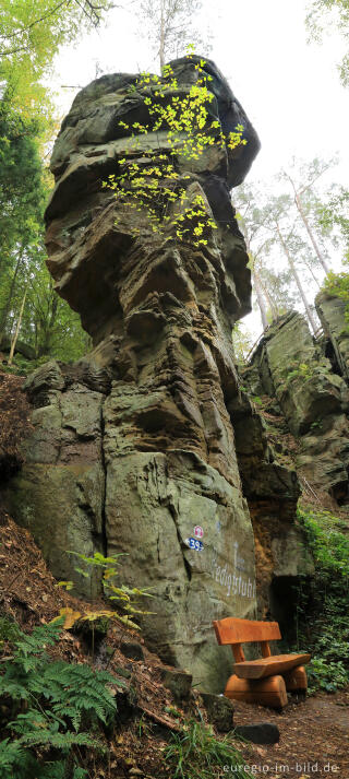 Der Predigtstuhl, Wanderweg "Grüne Hölle", Südeifel