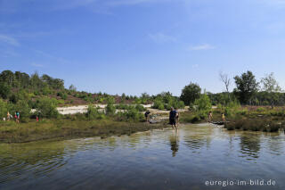 Der Rode Beek, Brunssumerheide