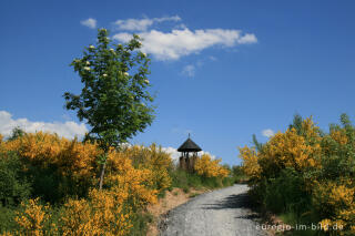 Der Römerturm auf der Sophienhöhe