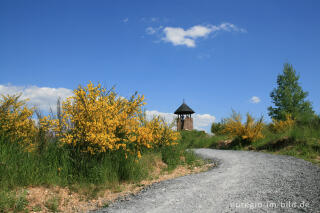 Der Römerturm auf der Sophienhöhe