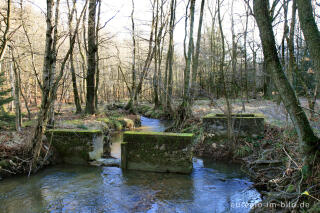 Die Inde im Münsterwald, Nordeifel