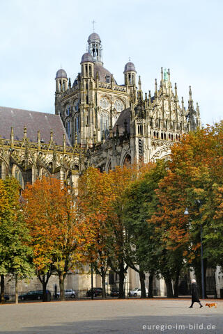 Die St.-Johannes-Kathedrale (Sint Janskathedraal) in Hertogenbosch