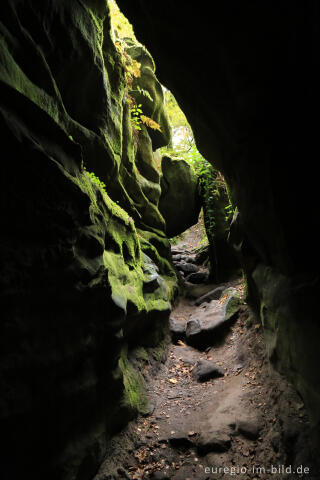 Die Teufelsschlucht bei Ernzen, Südeifel