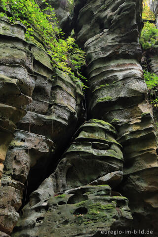 Die Teufelsschlucht bei Ernzen, Südeifel