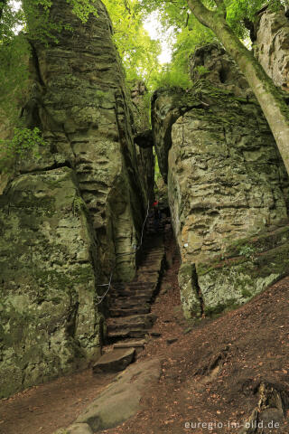 Die Teufelsschlucht bei Ernzen, Südeifel