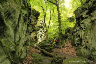 Die Teufelsschlucht bei Ernzen, Südeifel