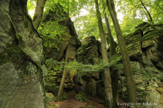 Die Teufelsschlucht bei Ernzen, Südeifel