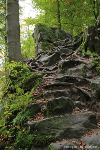 Die Teufelsschlucht bei Ernzen, Südeifel