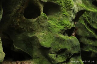 Die Teufelsschlucht bei Ernzen, Südeifel