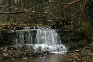 Die Weser bei Petergensfeld, Nordeifel