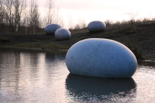 Eier im Wurmtal bei Würselen