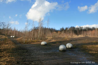 Eier im Wurmtal bei Würselen