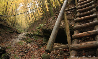 Eifelsteig im Butzerbachtal, Südeifel