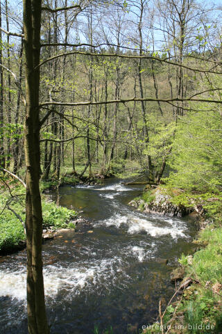 Eifelsteig,  Rurtal zwischen Rohren und Hammer