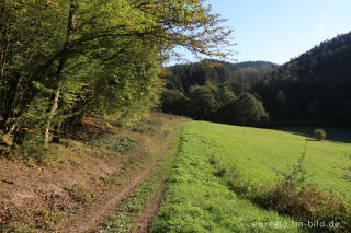 Eifelsteig zwischen Burg und Landscheid, Etappe 13