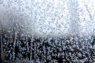 Eiskristalle auf einer Glasscheibe