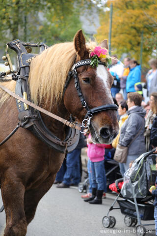 Erntedankfest in Mützenich bei Monschau