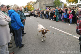 Erntedankfest in Mützenich bei Monschau