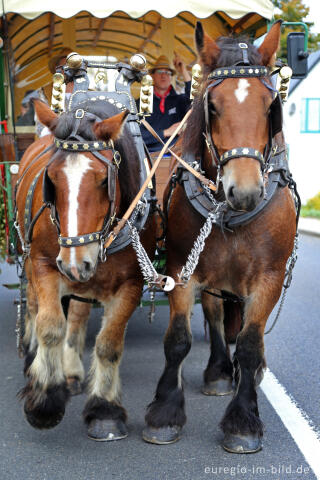 Erntedankfest in Mützenich bei Monschau