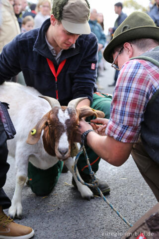 Erntedankfest in Mützenich bei Monschau