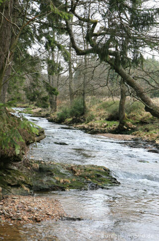 Eschbach, Auf´m Venn, Nordeifel