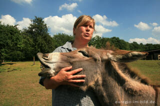 Esel mit Besitzerin, Clermont, B