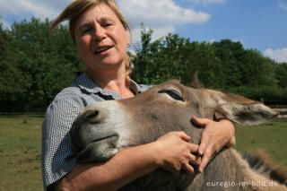 Esel mit Besitzerin, Clermont in Belgien