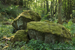 Felsbrocken auf der Dietzenley - Reste eines keltischen Ringwalls