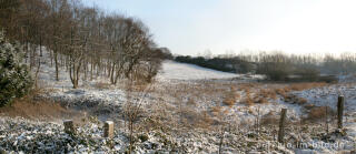 Feuchtbiotop im Gasser Feld