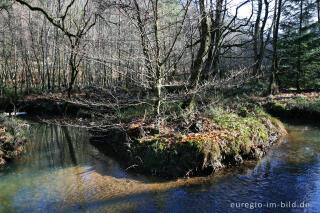 Flussschlinge der Inde im Münsterwald, Nordeifel