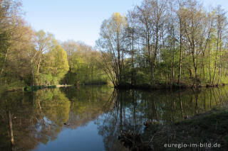 Frühling am Cranenweyer bei Kerkrade, NL