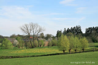 Frühling im Geultal südlich von Epen