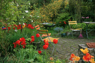 Gartenstillleben, Frühling