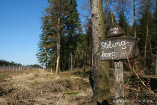 Gipfel des Steling bei Mützenich