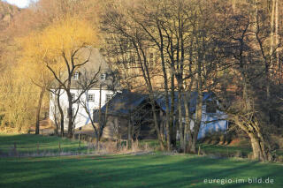 Hallenthaler Mühle bei Marmagen