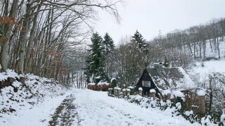 Haus Odenbach im Odenbachtal, Hetzinger Wald im Nationalpark Eifel