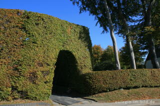 Haushohe Hecke in Höfen 