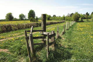 Hecken- und Wiesenlandschaft bei Raeren, B.