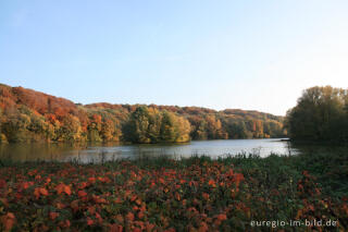 Herbst am Cranenweyer