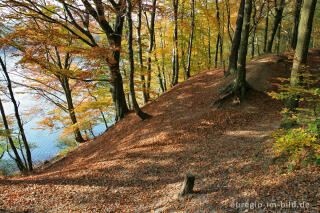 Herbst am Cranenweyer