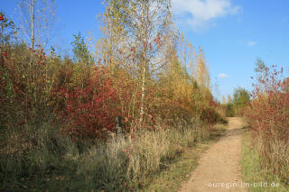 Herbst beim Blausteinsee, Eschweiler