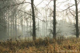 Herbst im Tal der Gulp