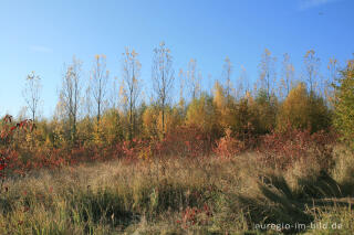 herbstlicher Farbklang am Blausteinsee, Eschweiler