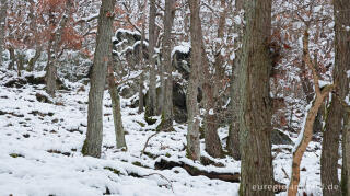 Hetzinger Wald, Odenbachtal