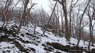 Hetzinger Wald, Odenbachtal