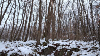 Hetzinger Wald, Odenbachtal