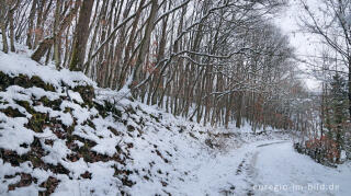 Hetzinger Wald, Odenbachtal