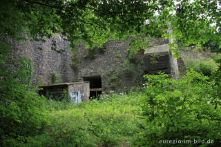 Historischer Kalkofen bei Aachen-Walheim